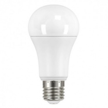 Ampoules - Ampoule led E27 1521lm, 100W (Eq. Inc.), blanc chaud, dimmable