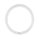 Radium Circline LED 20W 865 – Remplacement fluorescente 32W