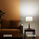 Ampoules LED Connectées - Casambi A60 Smart White – Ampoule LED E27 8W 640 lm
